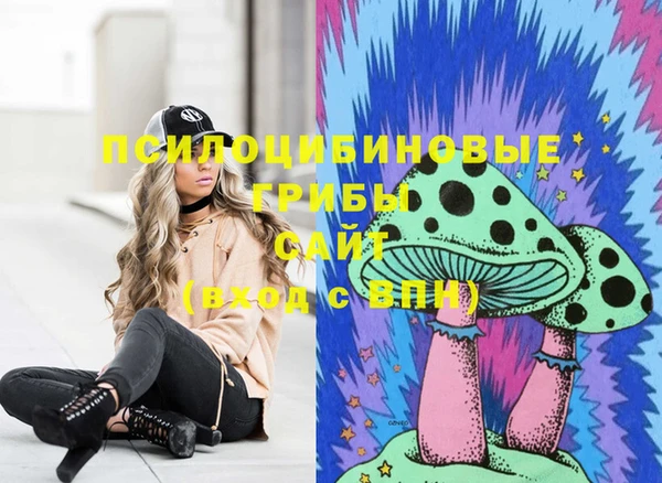 стафф Волосово
