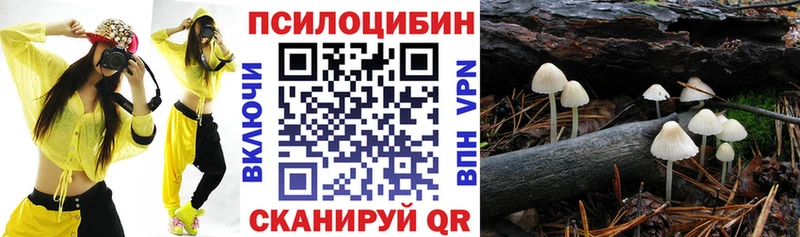 как найти   Любим  Псилоцибиновые грибы Cubensis 